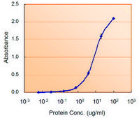 Anti-G6PD (AA 308-320) antibody produced in goat affinity isolated antibody, buffered aqueous solution