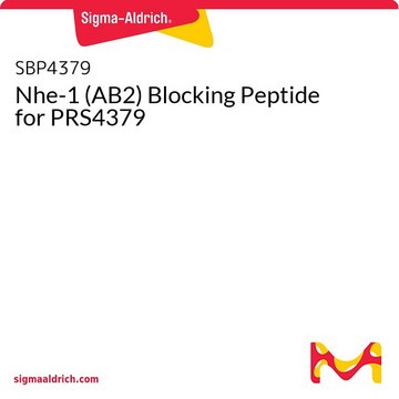 Nhe-1 (AB2) Blocking Peptide for PRS4379