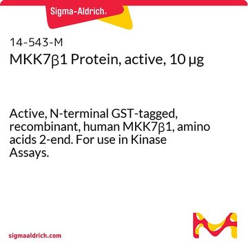 MKK7&#946;1 Protein, active, 10 &#181;g Active, N-terminal GST-tagged, recombinant, human MKK7&#946;1, amino acids 2-end. For use in Kinase Assays.