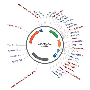 PSF-CMV-ZEO - CMV PROMOTER ZEOCIN SELECTION VECTOR plasmid vector for molecular cloning