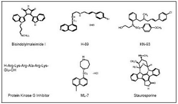 Serine/Threonine Kinase Inhibitor Set The Serine/Threonine Kinase Inhibitor Set controls the biological activity of Serine/Threonine Kinase. This small molecule/inhibitor is primarily used for Phosphorylation &amp; Dephosphorylation applications.