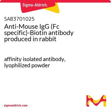 抗-小鼠IgG（Fc特异性）-生物素 兔抗 affinity isolated antibody, lyophilized powder