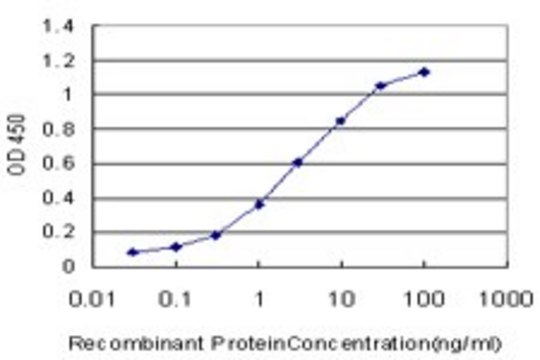 Monoclonal Anti-KLF9 antibody produced in mouse clone 2B9, purified immunoglobulin, buffered aqueous solution