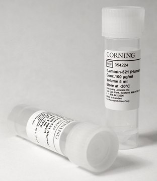 Corning&#174; rLaminin-521 from human, pack of 500&#160;&#956;g