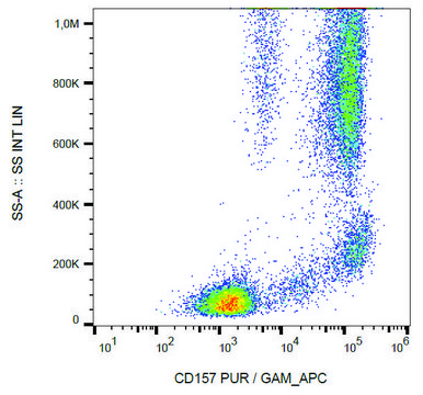 Monoclonal Anti-CD157 antibody produced in mouse clone SY11B5