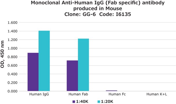 Monoclonal Anti-Human IgG (Fab specific) antibody produced in mouse clone GG-6, ascites fluid