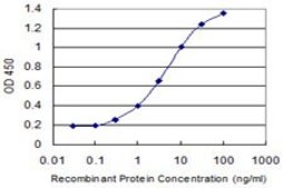 Monoclonal Anti-ZNRF4 antibody produced in mouse clone 1A8, purified immunoglobulin, buffered aqueous solution