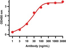Anti-SARS-CoV-2 (COVID-19) NSP8 antibody produced in rabbit affinity isolated antibody