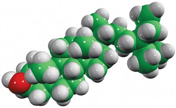 谷甾烷醇 &#946;-sitostanol, powder