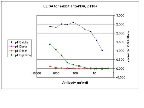 Anti-PI3 Kinase Antibody, p110&#945; from rabbit, purified by affinity chromatography