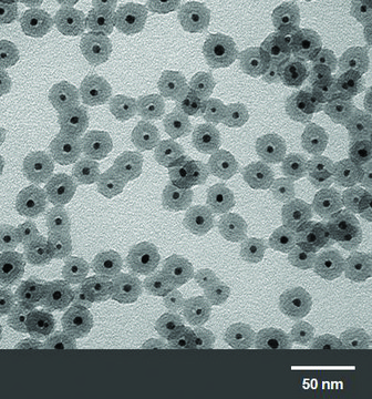 Gold nanoparticles 5&#160;nm diameter, silica coated, OD 1, dispersion in H2O