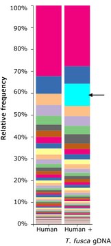 Microbial DNA standard from Thermobifida fusca Suitable for PCR, sequencing and NGS, 10&#160;ng/&#956;L