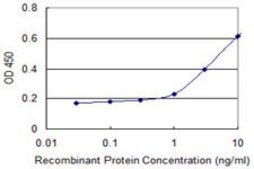 Monoclonal Anti-HLA-DQB1 antibody produced in mouse clone 1G6, purified immunoglobulin, buffered aqueous solution