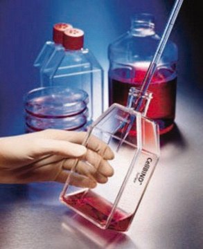 康宁&#174; CellBIND&#174; 表面细胞培养瓶 CellBIND 175cm2 angled neck cell culture flask w/ Vent Cap and Bar Code, PS, sterile, 84/cs