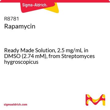 Rapamycin Ready Made Solution, 2.5&#160;mg/mL in DMSO (2.74 mM), from Streptomyces hygroscopicus