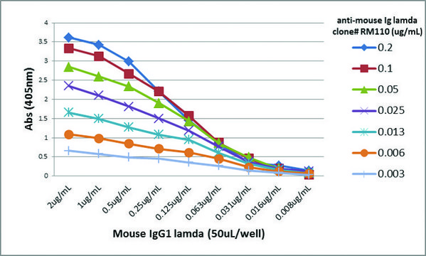 Anti-Mouse Ig Lamda Light Chain-Biotin antibody, Rabbit monoclonal recombinant, expressed in HEK 293 cells, clone RM110, purified immunoglobulin