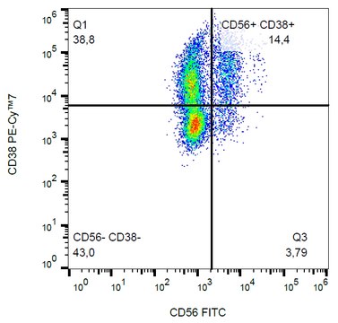 Monoclonal Anti-CD38 PE-Cyanine7 produced in mouse