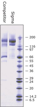 &#945;2-Macroglobulin from human plasma BioUltra, &#8805;98% (SDS-PAGE)