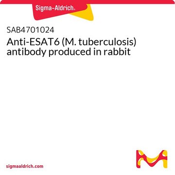 Anti-ESAT6 (M. tuberculosis) antibody produced in rabbit