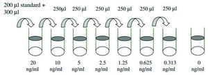 Human VEGF-D ELISA Kit for serum, plasma, cell culture supernatant and urine