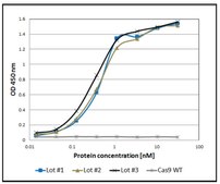 dCas9-3XFLAG™-Biotin Protein from&nbsp;Streptococcus pyogenes with D10A and H840A mutations, recombinant, expressed in&nbsp;E. coli, 1X NLS