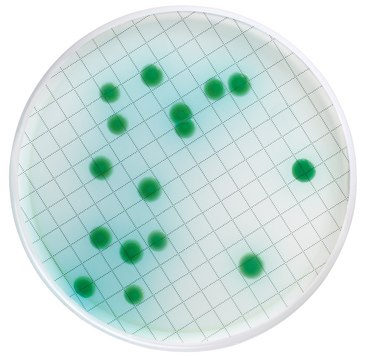 Milliflex&#174; Pre-filled Media Cassettes Cetrimide Agar, Naladixic Acid, for Pseudomonas aeruginosa, pack of 48&#160;tests, suitable for bioburden testing