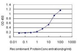 Monoclonal Anti-GDF11 antibody produced in mouse clone 1E6, purified immunoglobulin, buffered aqueous solution
