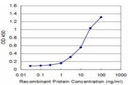 Monoclonal Anti-PEX6 antibody produced in mouse clone 3G3, purified immunoglobulin, buffered aqueous solution