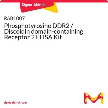 磷酸酪氨酸DDR2 /含受体 Disdisoidin域2 ELISA试剂盒