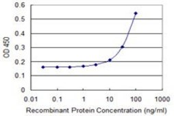 Monoclonal Anti-DDT antibody produced in mouse clone 1D5, purified immunoglobulin, buffered aqueous solution