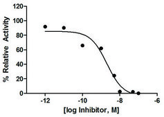 Cathepsin S Inhibitor Screening Kit Sufficient for 100 Fluorometric tests
