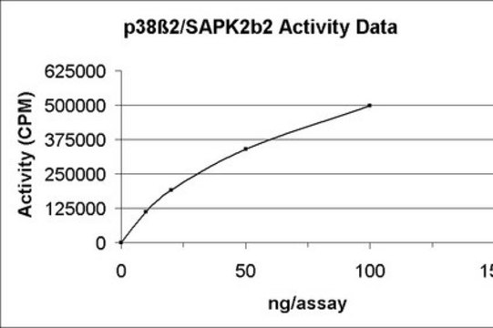 p38&#946;2/SAPK2b2 Protein, active, 10 &#181;g Active, N-terminal GST fusion protein corresponding to full length human p38&#946;2/SAPK2b2 activated with MKK6. For use in Kinase Assays.