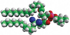 16:0-18:0(4,5-dibromo) PC Avanti Research™ - A Croda Brand 850479C