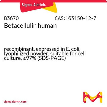 Betacellulin human recombinant, expressed in E. coli, lyophilized powder, suitable for cell culture, &#8805;97% (SDS-PAGE)