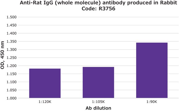 Anti-Rat IgG (whole molecule) antibody produced in rabbit affinity isolated antibody, buffered aqueous solution