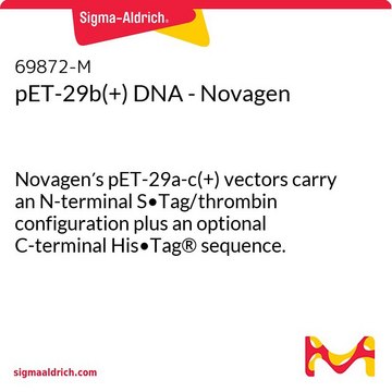 pET-29b(+) DNA - Novagen Novagen&#8242;s pET-29a-c(+) vectors carry an N-terminal S&#8226;Tag/thrombin configuration plus an optional C-terminal His&#8226;Tag&#174; sequence.