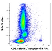 Monoclonal Anti-CD63 Biotin produced in mouse