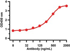 Anti-SARS-CoV Matrix antibody produced in rabbit affinity isolated antibody