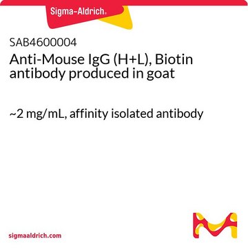 Anti-Mouse IgG (H+L), Biotin antibody produced in goat ~2&#160;mg/mL, affinity isolated antibody