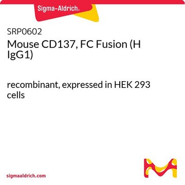 Mouse CD137, FC Fusion (H IgG1) recombinant, expressed in HEK 293 cells