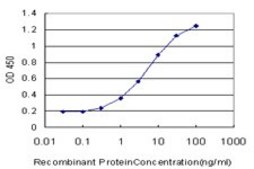 Monoclonal Anti-EXOSC5 antibody produced in mouse clone 6G11, purified immunoglobulin, buffered aqueous solution