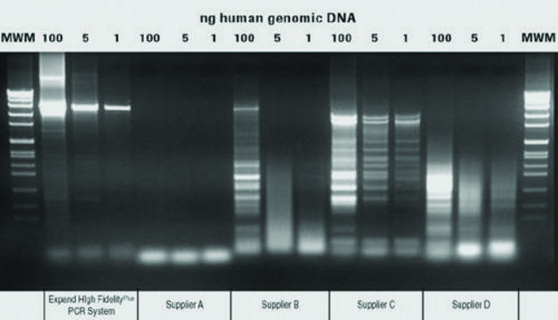 Expand&#8482; High FidelityPLUS PCR System sufficient for &#8804;500&#160;reactions (03300226001), sufficient for &#8804;2,500&#160;reactions (03300234001), suitable for PCR, High Fidelity PCR, hotstart: no, dNTPs included: no