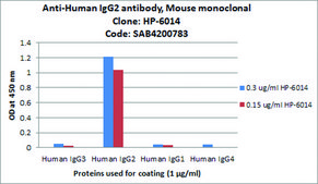 Anti-Human IgG2 antibody, Mouse monoclonal clone HP-6014, purified from hybridoma cell culture