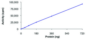 EPHA6 (561-end), active, GST tagged human PRECISIO® Kinase, recombinant, expressed in baculovirus infected Sf9 cells, ≥70% (SDS-PAGE), buffered aqueous glycerol solution