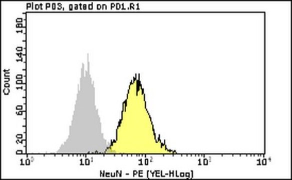 Milli-Mark&#174; Anti-NeuN-PE Antibody, clone A60 clone A60, Milli-Mark&#174;, from mouse