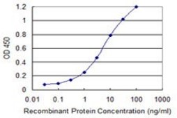 Monoclonal Anti-ETV1 antibody produced in mouse clone 4C12, purified immunoglobulin, buffered aqueous solution