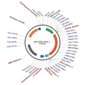 PSF-CMV-VSVG - VSV G EXPRESSION PLASMID plasmid vector for molecular cloning