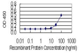 Monoclonal Anti-DOCK1 antibody produced in mouse clone 3D10, purified immunoglobulin, buffered aqueous solution