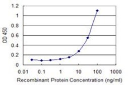 Monoclonal Anti-USP6 antibody produced in mouse clone 1F5, purified immunoglobulin, buffered aqueous solution
