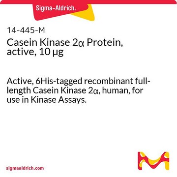 Casein Kinase 2&#945; Protein, active, 10 &#181;g Active, 6His-tagged recombinant full-length Casein Kinase 2&#945;, human, for use in Kinase Assays.